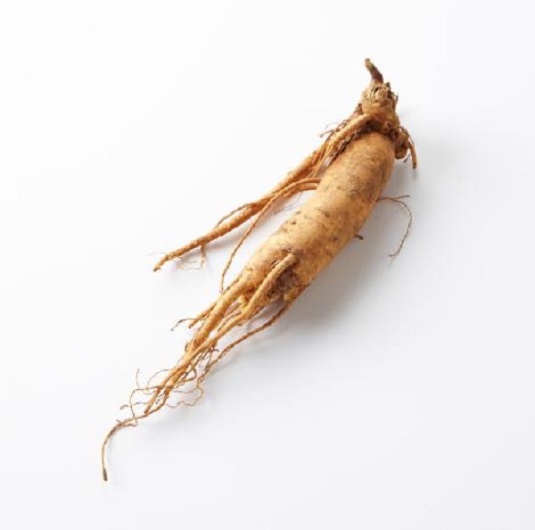 Ginseng Coreano and Its Benefits for Your Body and Mind
